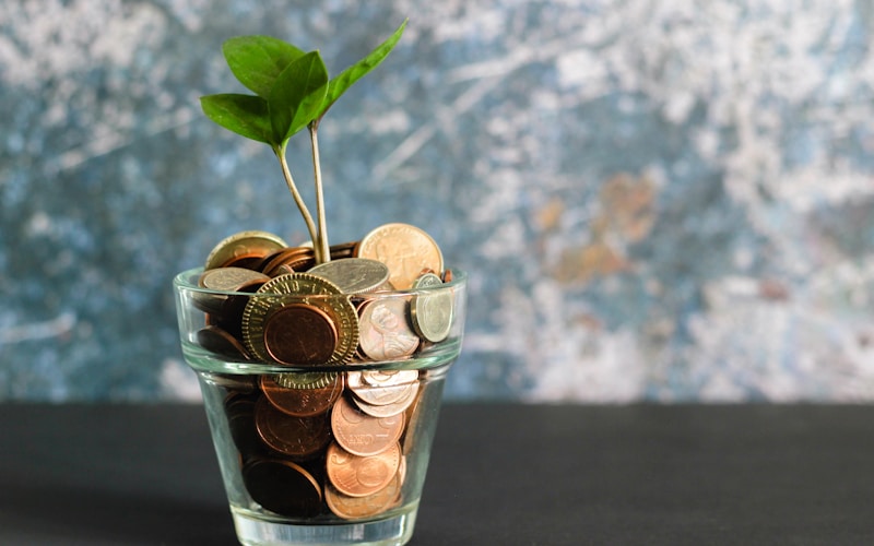 Micro-credit
