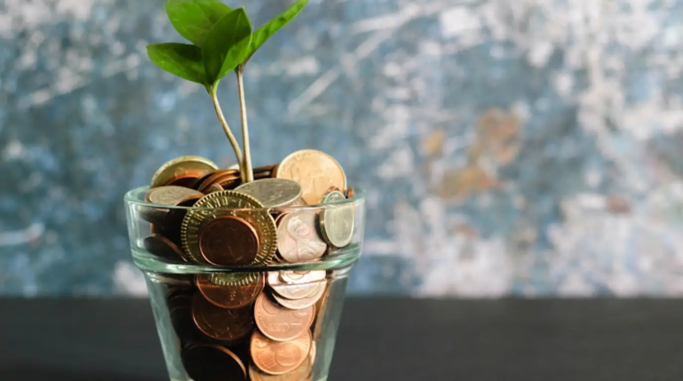 Micro Finance